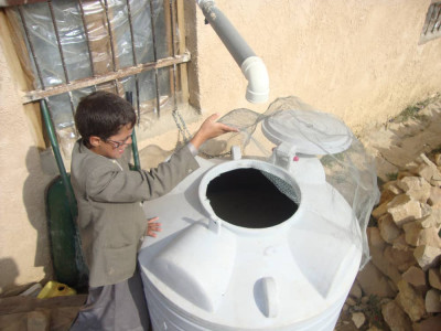 Water and sanitation