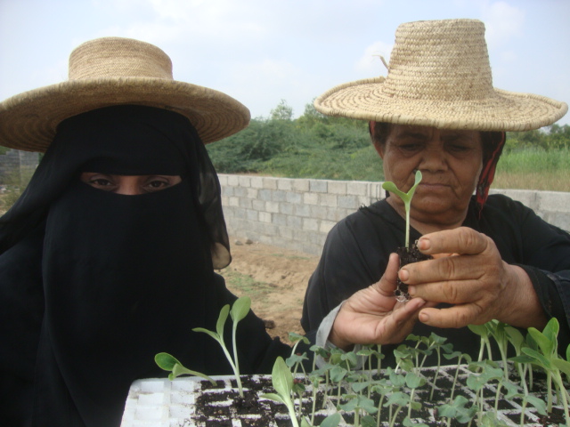 حدائق منزلية