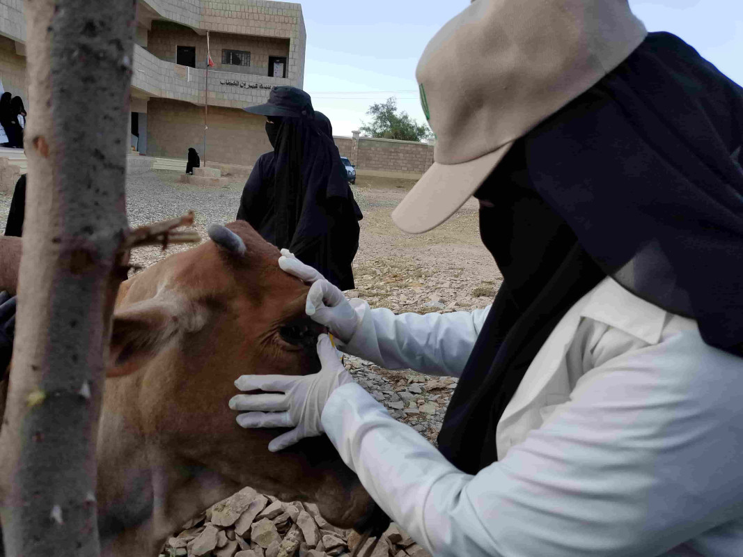 الثروة الحيوانية